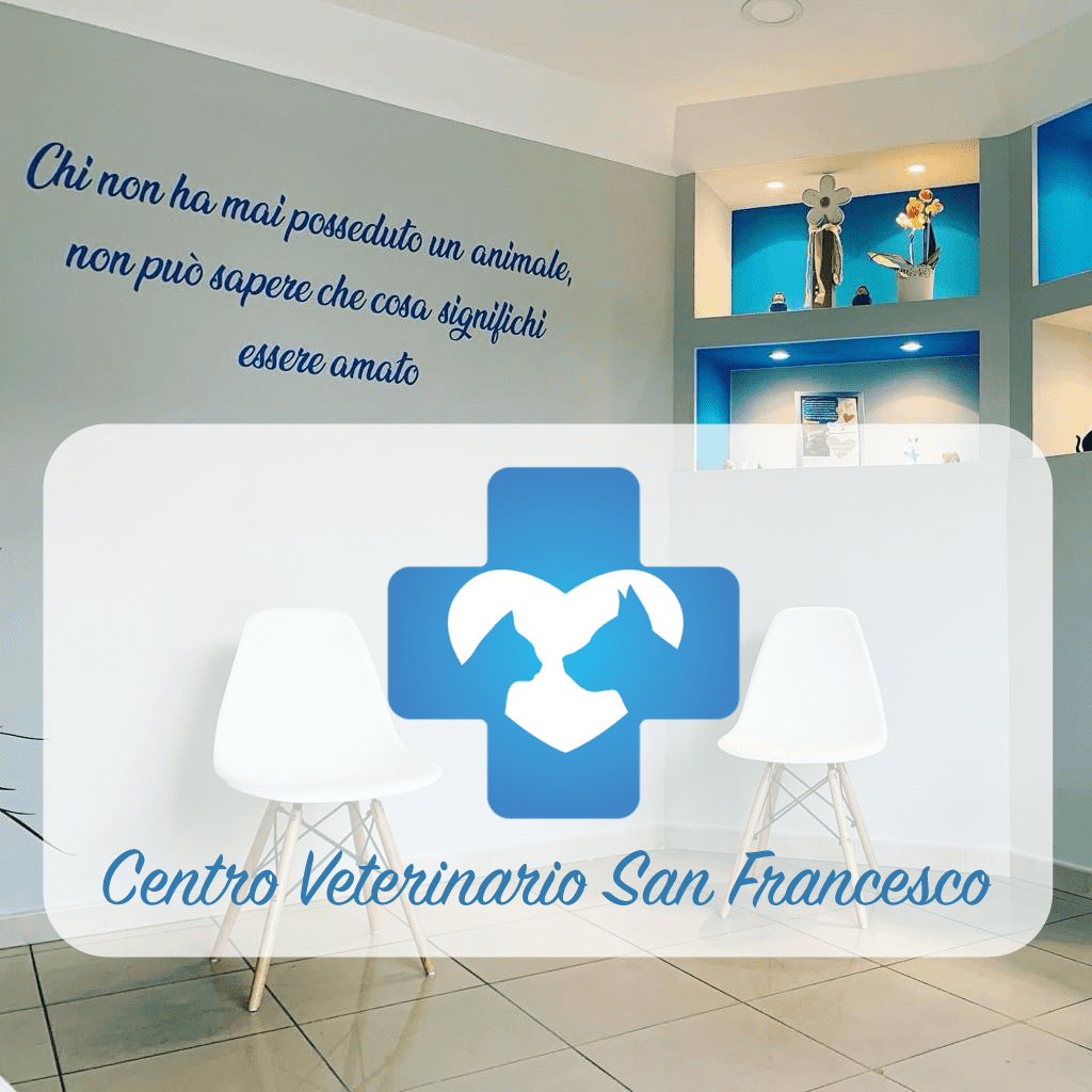 centro-veterinario-san-francesco-santa-teresa-spoltore-1024x1024